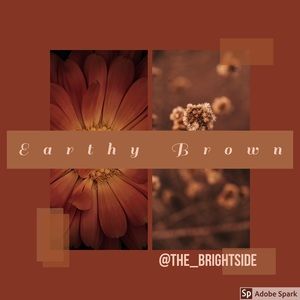 🤎🤎🤎🤎🤎🤎